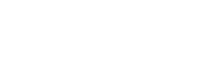 Toy Planet