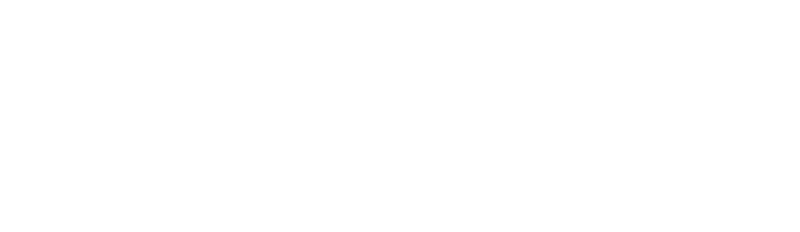 Toy Planet