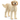 Schleich Figura Perro Goldendoodle